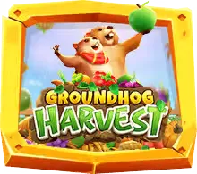 Groundhog Harvest