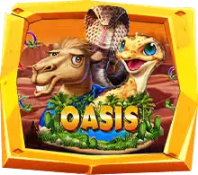 Oasis