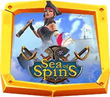 Sea of Spins