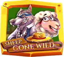 Sheep Gone Wild