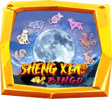 Sheng Xiao Bingo