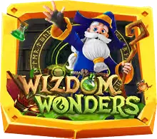 Wizdom Wonders