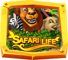 Safari Life