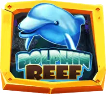 Dolphin Reef