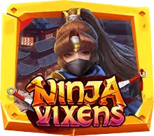 Ninja Vixens