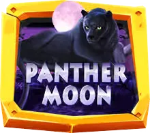 Panther Moon