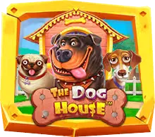 The Dog House